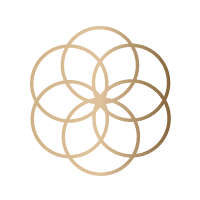 Trust litigation icon